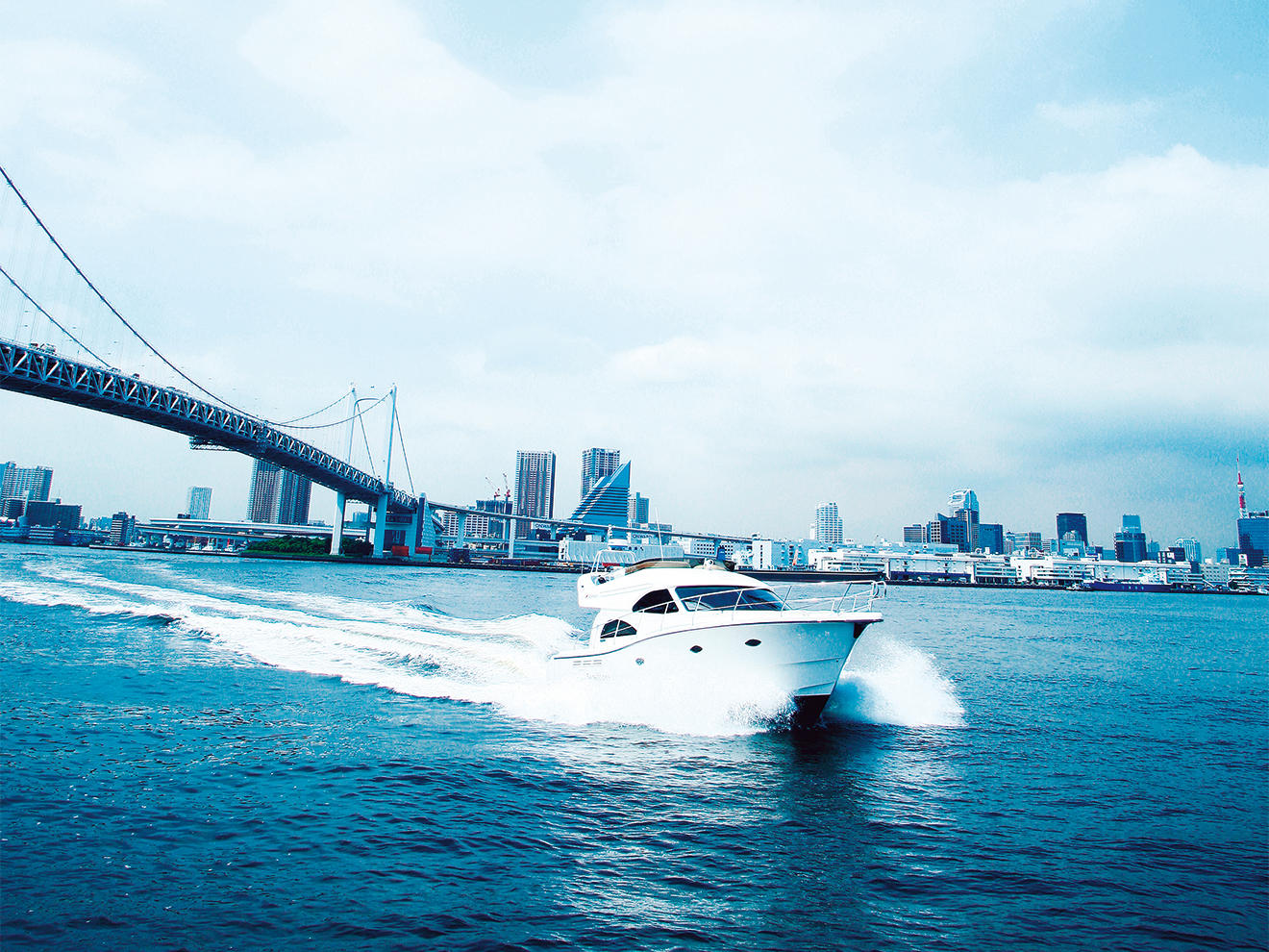 東京と横浜から出港するクルーザー