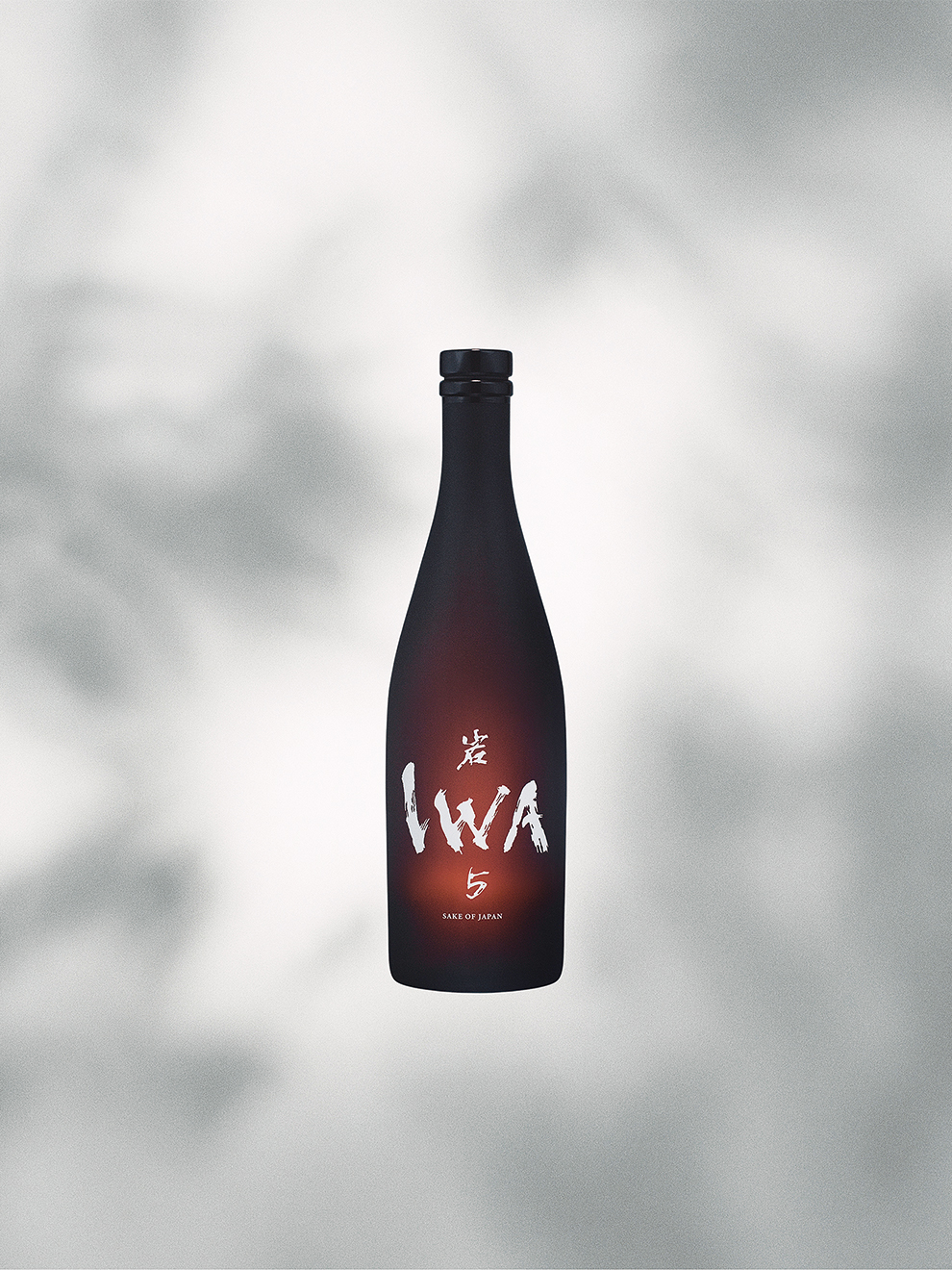 IWA 5