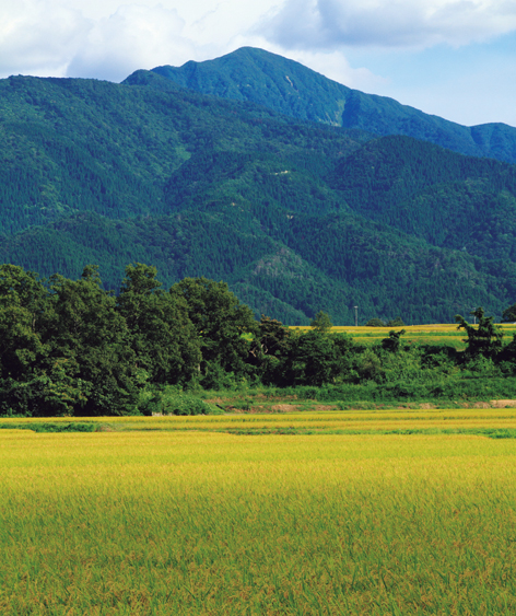 ピロールで日本と世界を立て直す