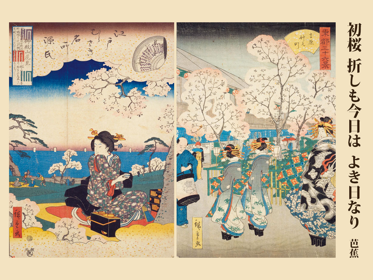 （左）広重『江戸むらさき名所源氏御殿山花見&emsp;見立花の宴』江戸紫名所源氏、国立国会図書館デジタルコレクション（右）広重『吉原仲之町』東都三十六景、相ト、国立国会図書館デジタルコレクション