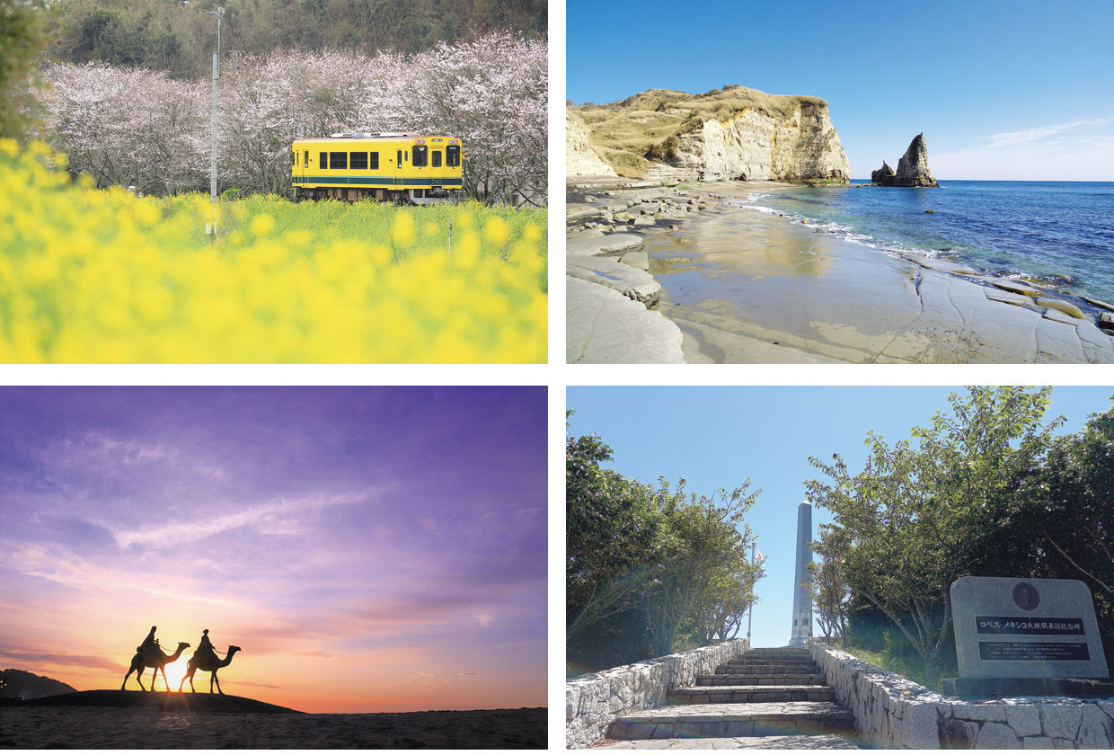 ラビドール御宿。リゾート感あふれるホーム