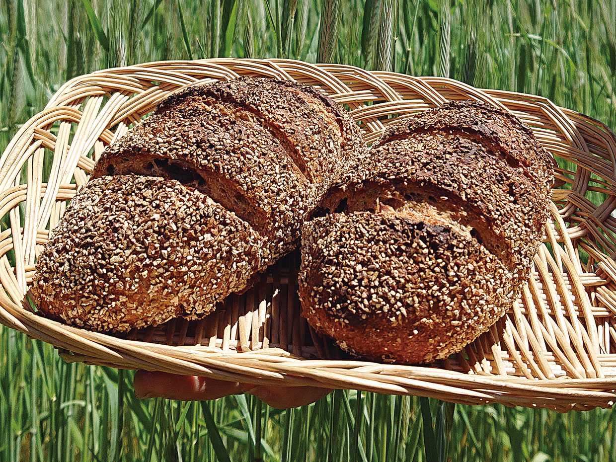 奥土農場&emsp;石窯パン工房