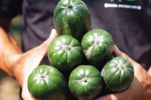 立派に育ち、両手に持つのも一苦労