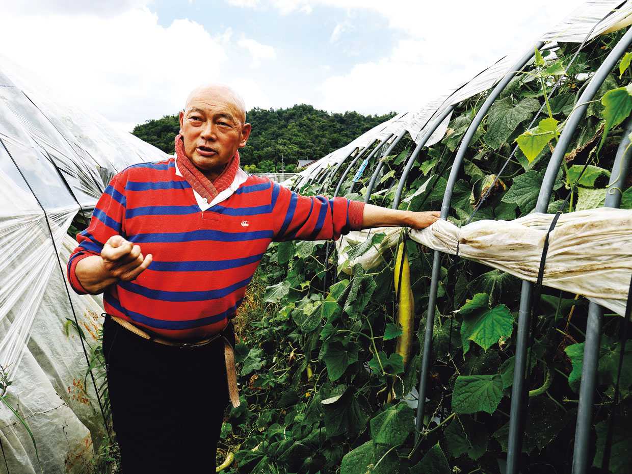 京都市上賀茂で野菜作りを続ける田鶴均さん