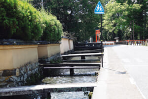 賀茂川から分流し、上賀茂神社を通って流れる明神川