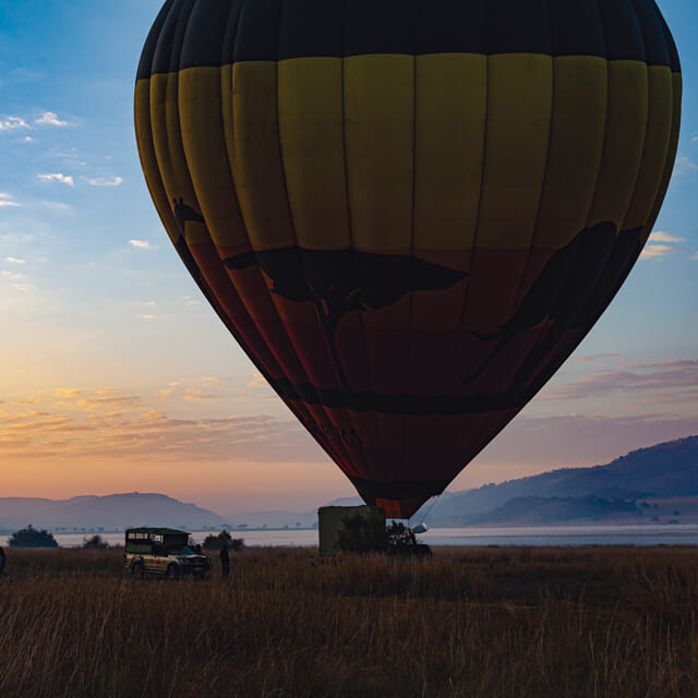 密林に潜む失われた宮殿