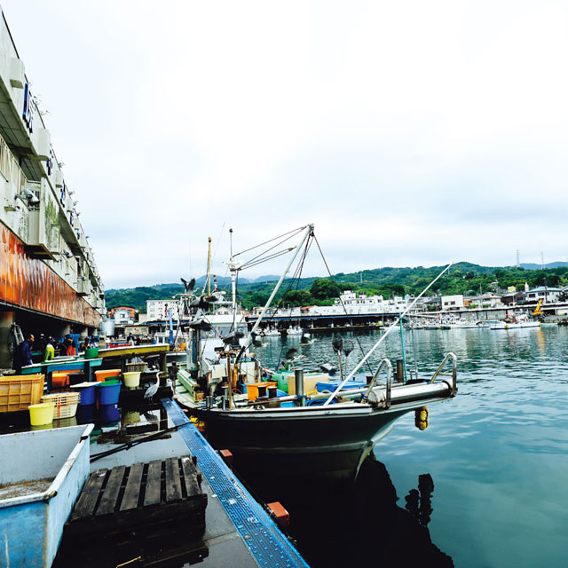 相模湾・乱舞する朝獲れ魚たち&emsp;小田原編