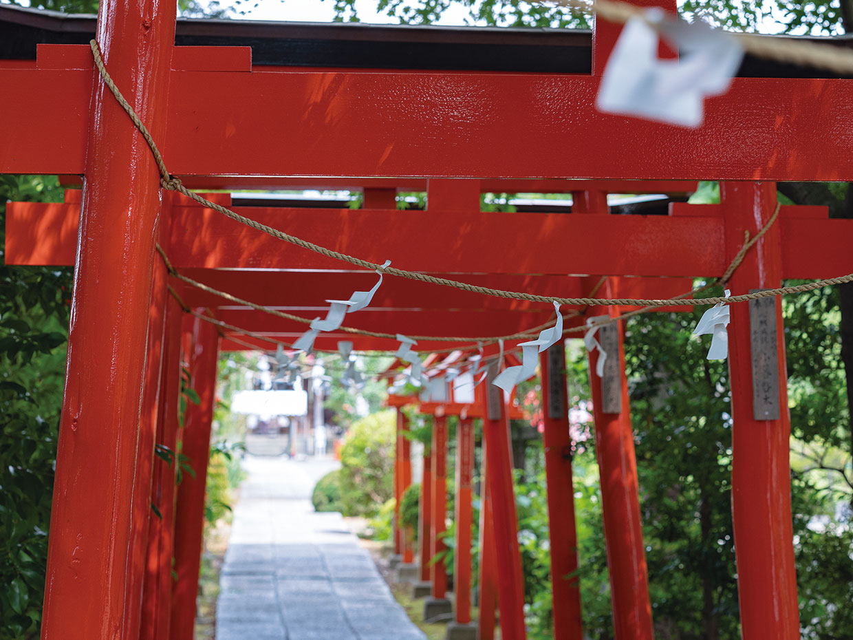 稲荷大神をまつる尾曳稲荷神社