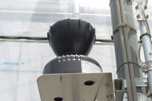 機械のセンサーが雨を感知すると、ハウスの天窓が自動で閉じる