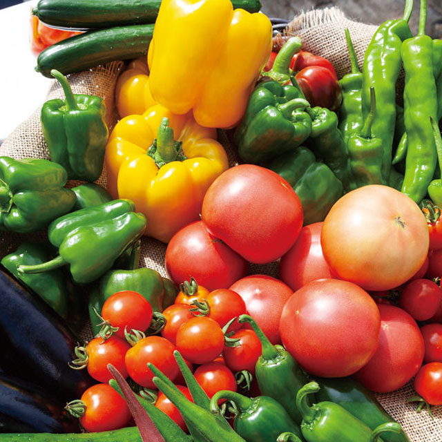 有機肥料の配合を変えて作るオーダーメイド野菜