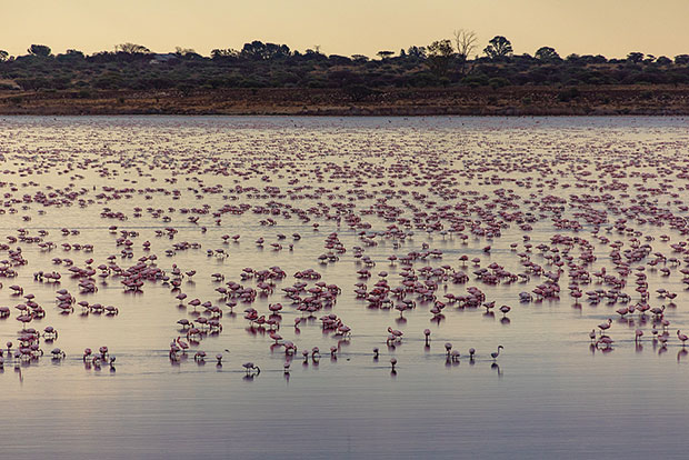ブルートレインからの車窓