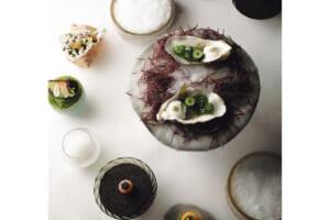 HAJIME「磯&ndash;海の森」