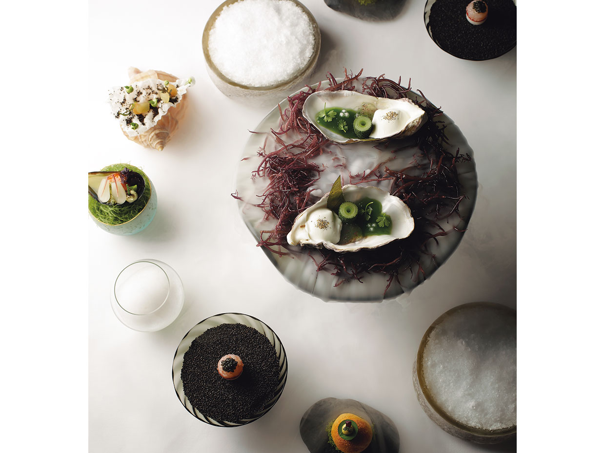 HAJIME「磯&ndash;海の森」