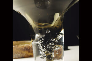 HAJIME「磯&ndash;海の森」