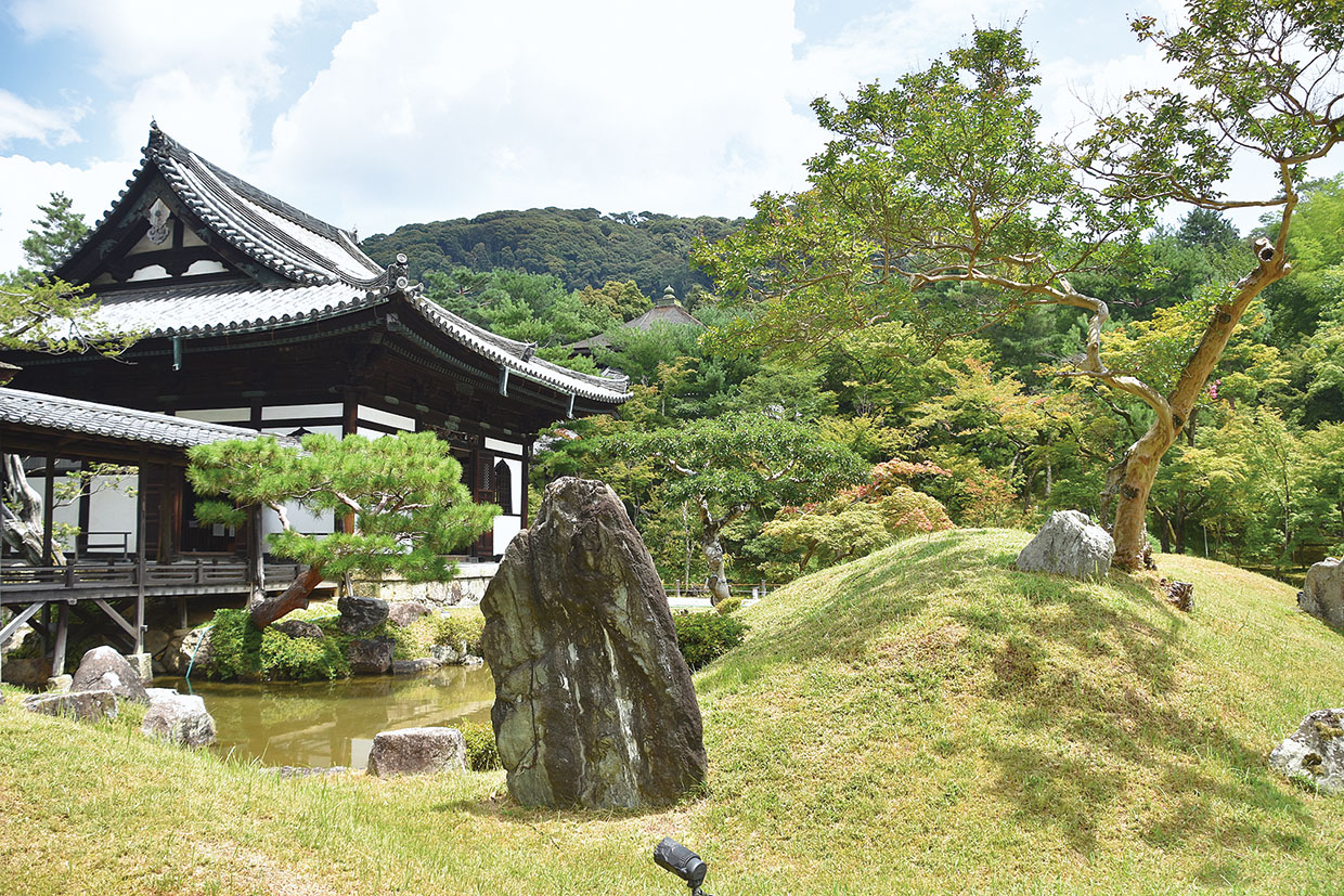 食語の心 第116回　柏井 壽