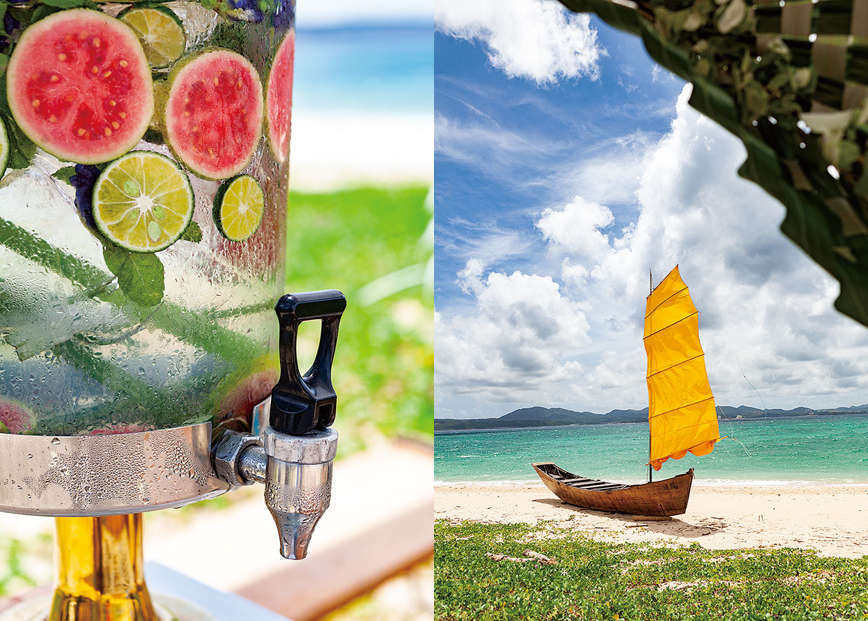 やんばる畑人プロジェクト