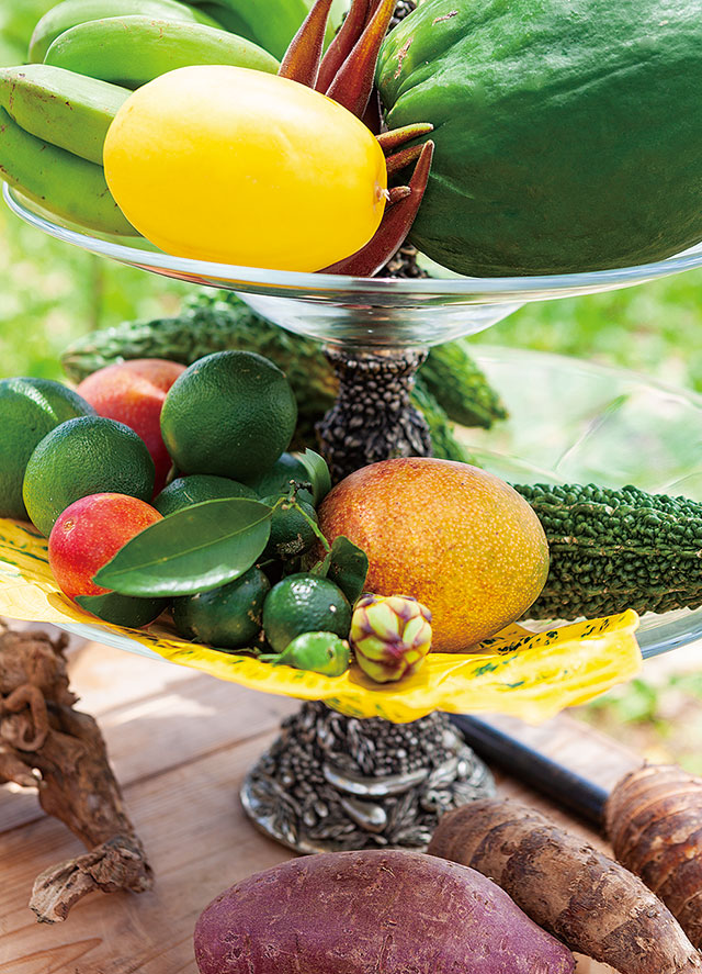 やんばる畑人プロジェクト。仲間の畑でとれた島バナナやレモン、青パパイヤ、マンゴー、ゴーヤなど