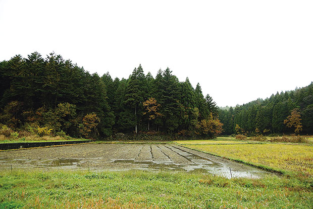 ヴィラ・デラ・パーチェのオーベルジュ予定地