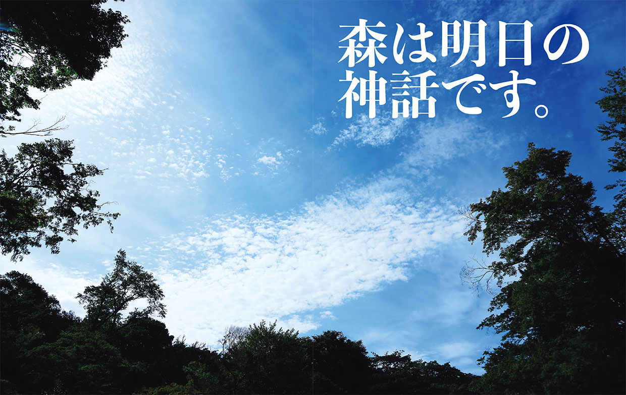 明治神宮。御社殿の南側に広がる御苑