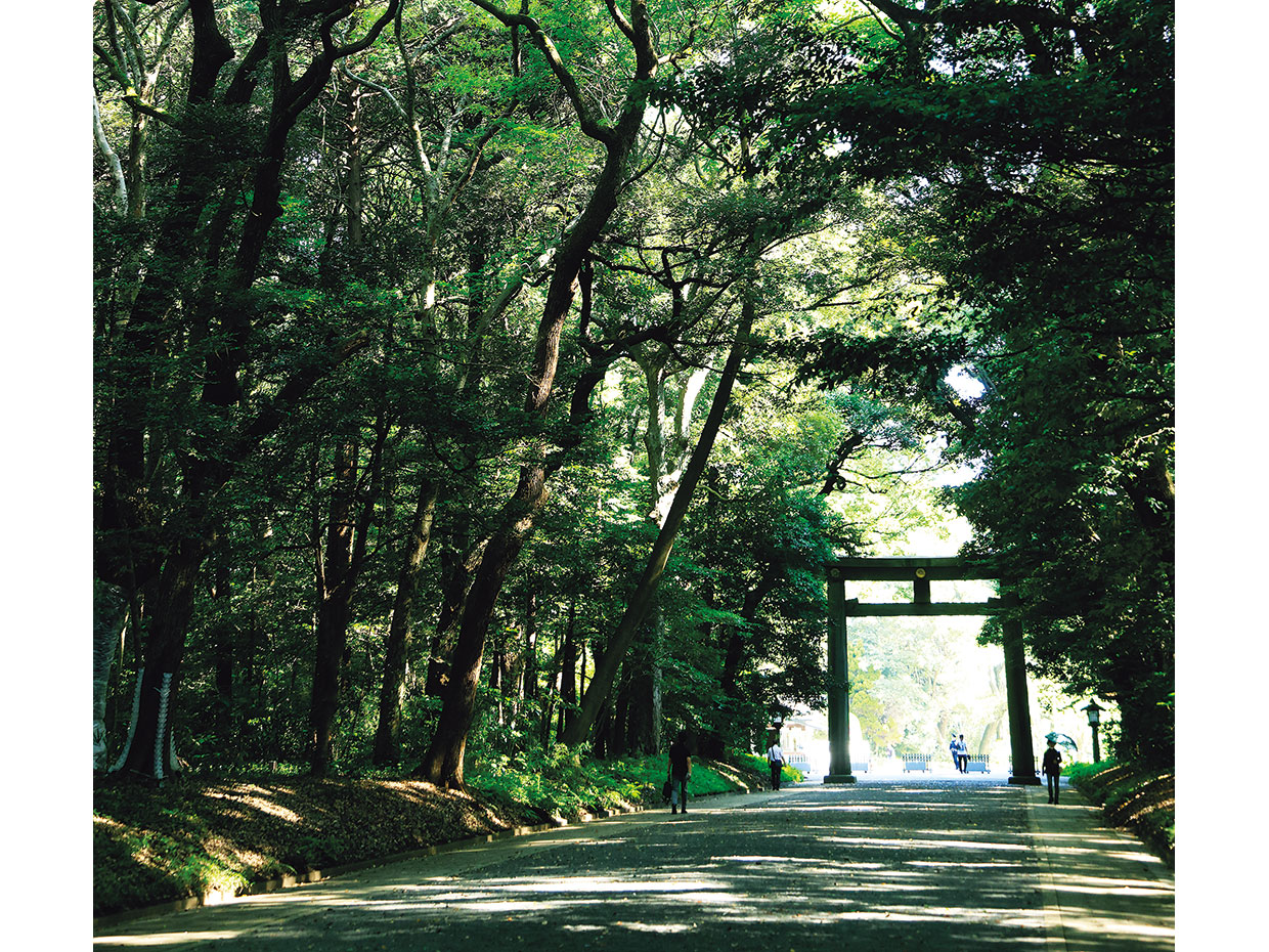 明治神宮。北参道