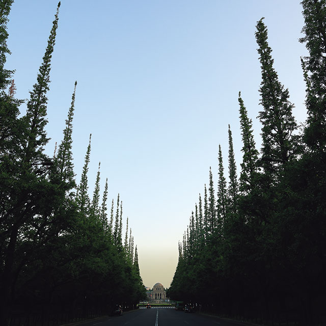 神宮外苑、再開発に思う