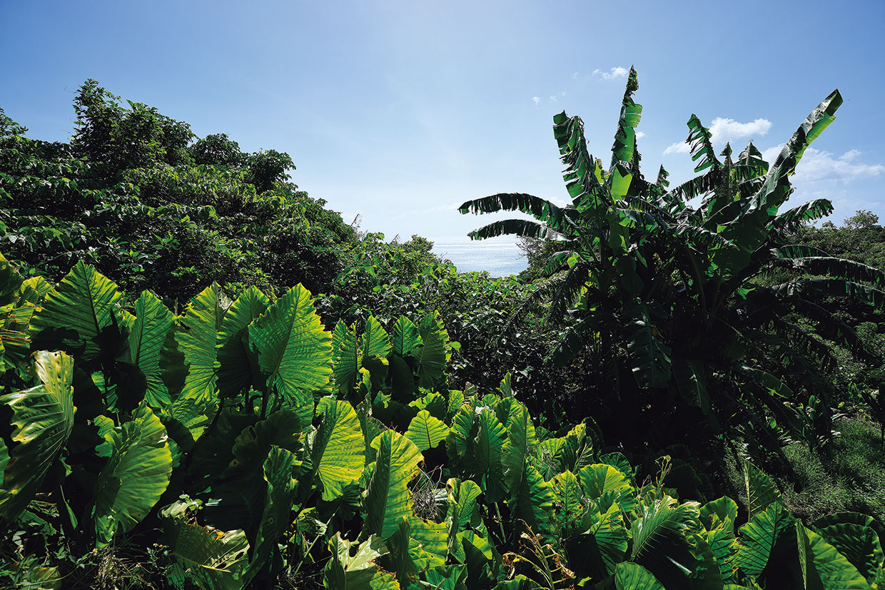 沖縄、百名ビーチ
