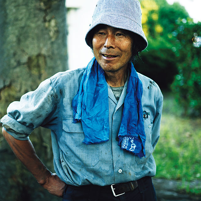 樹木は自然界循環の要