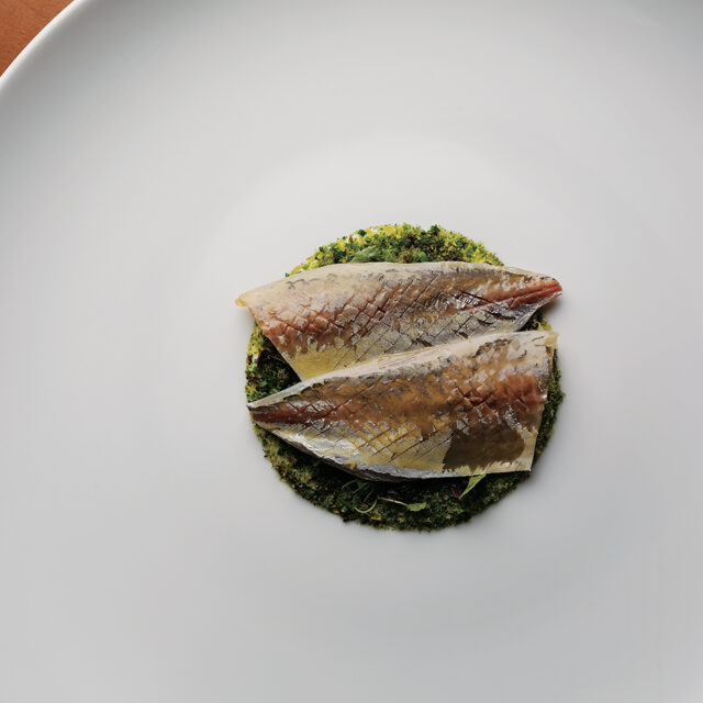 今の自分を切り取る