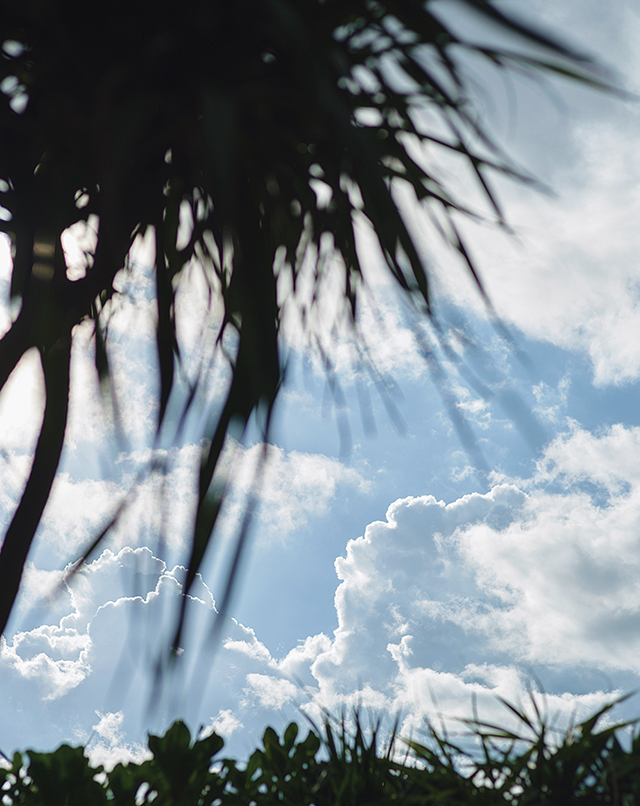 星のや沖縄。周辺を彩る沖縄の植物と空