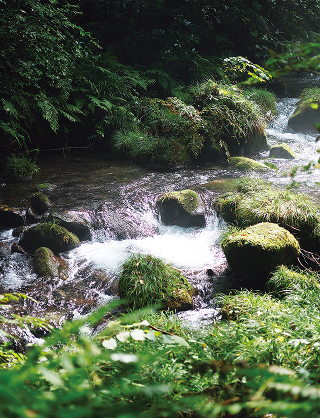鳥取県中部の関金町。わさび作りに向く