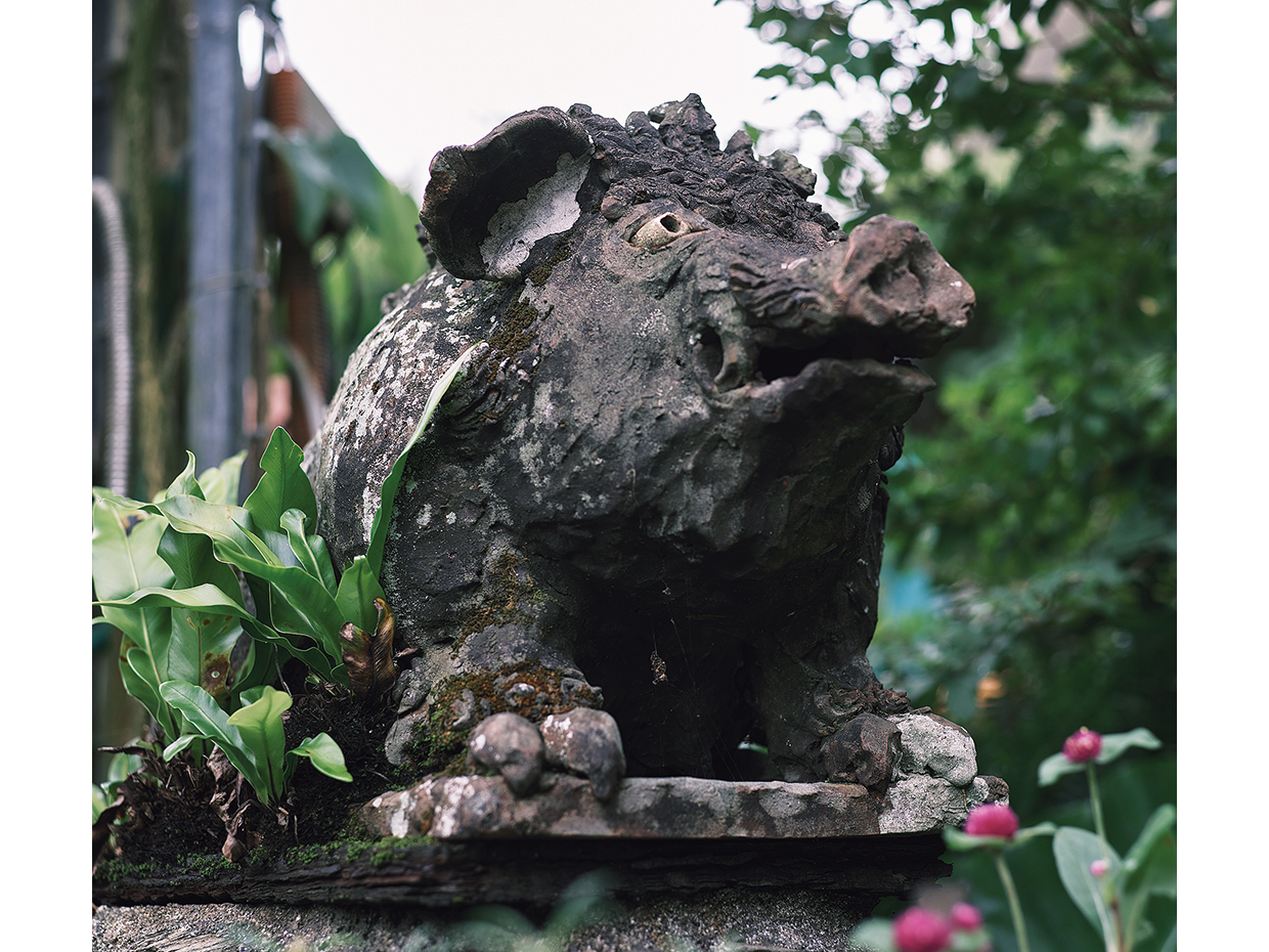 我那覇畜産の入り口に飾られていたアグーシーサー