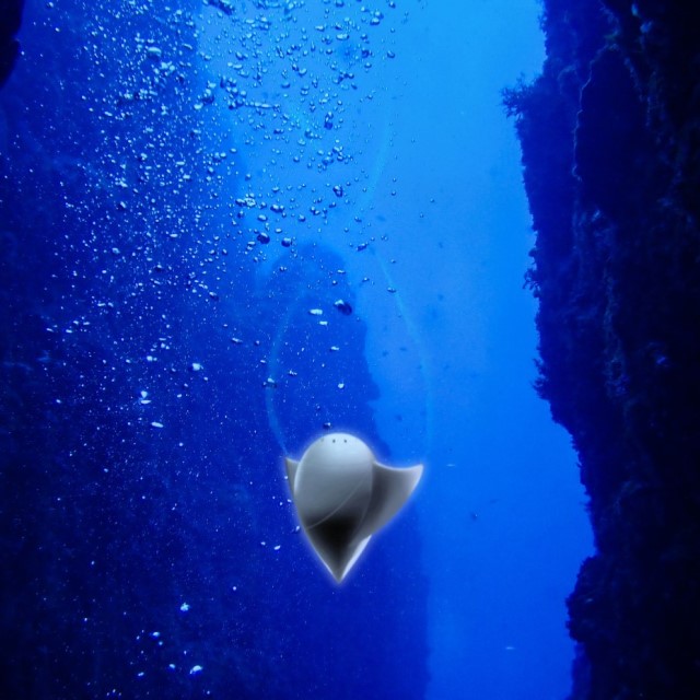 神秘的な深海で静かに眠る