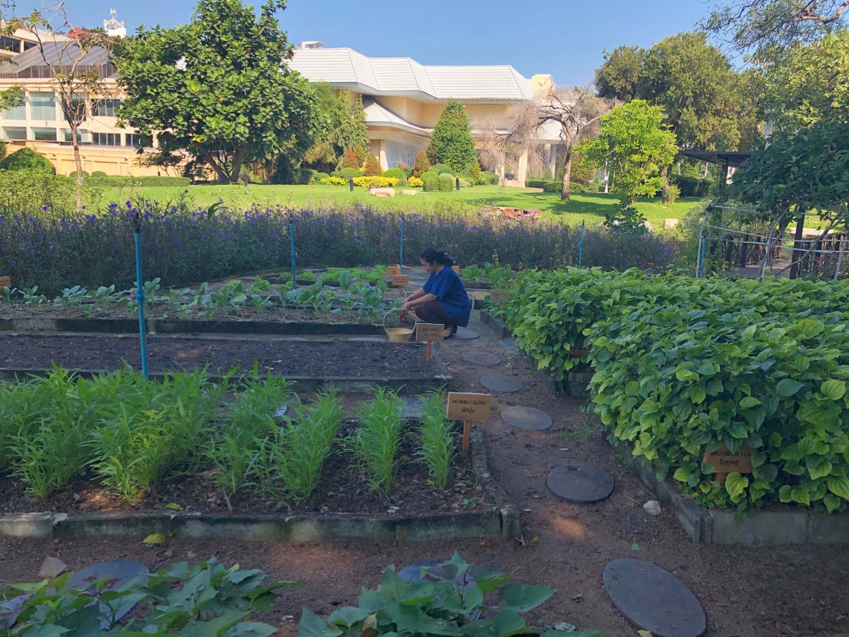 にぎわいリゾートに、白浜と庭園の隠れオアシス、デュシタニ パタヤ