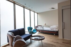 NLC 野中腰痛クリニック、椎間板の再生