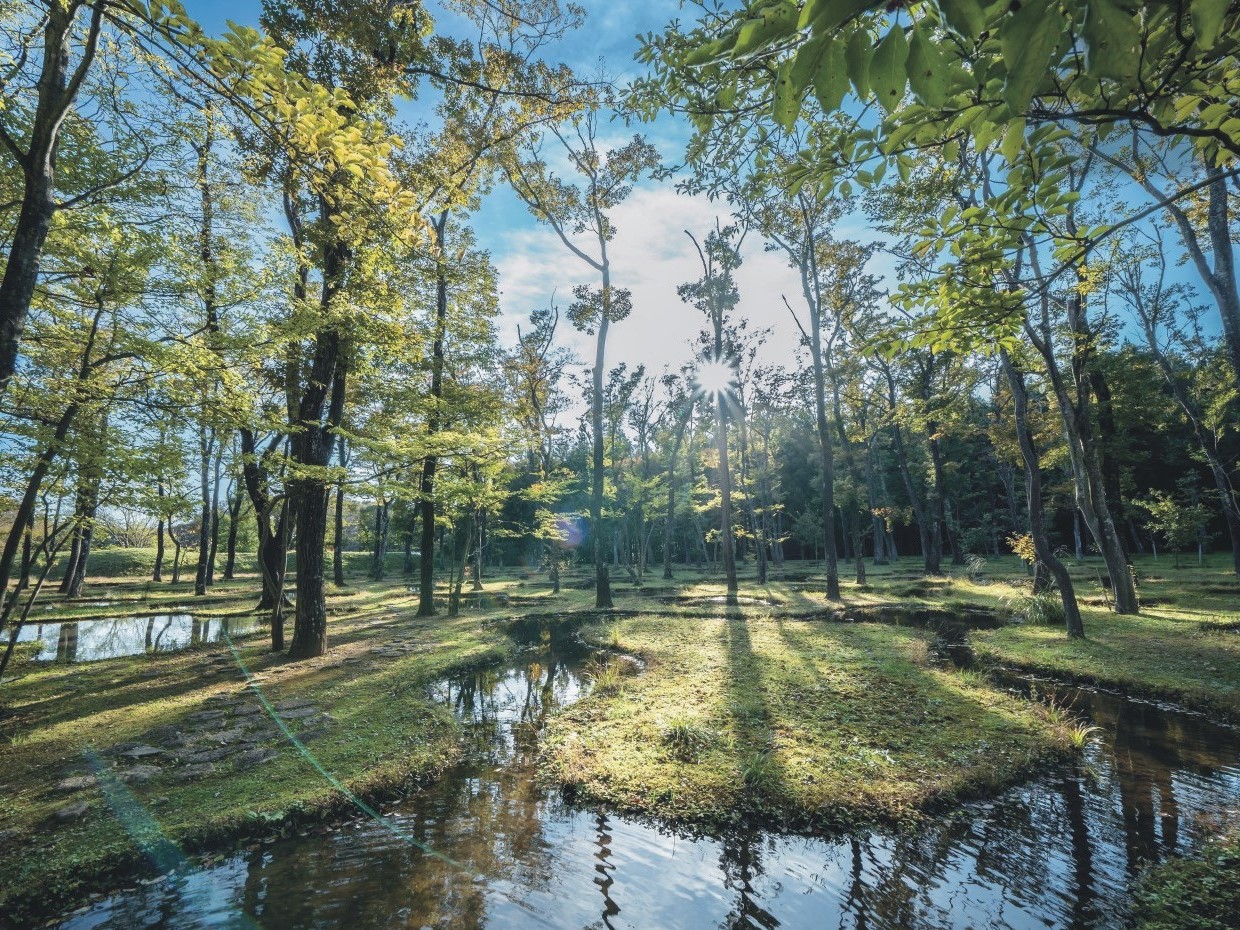 ありのままの自分に還る場所、那須 無垢の音