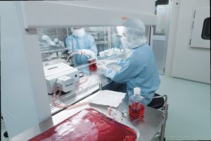 安全安心の再生医療を、ReM CLINIC