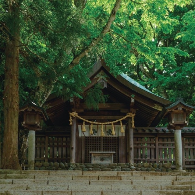 勇壮なる男たちの神事 ー諏訪大社ー