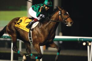 人生を懸けた趣味、JRA