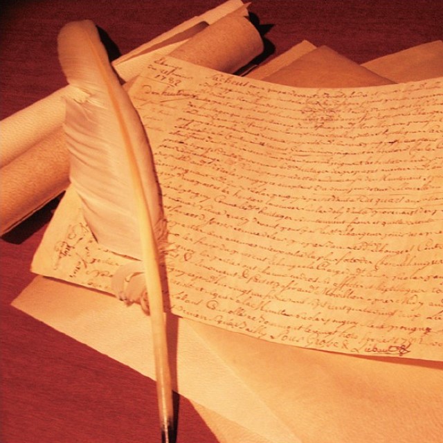 余すところなし！頼れるヒツジ