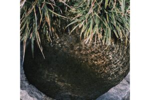 吟醸酒のふるさと・西条の酒蔵、西条市、酒蔵、広島特集