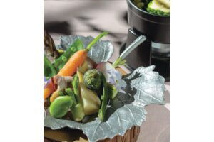 星のや 第3回　五感で、自然を遊ぶ　星のや富士