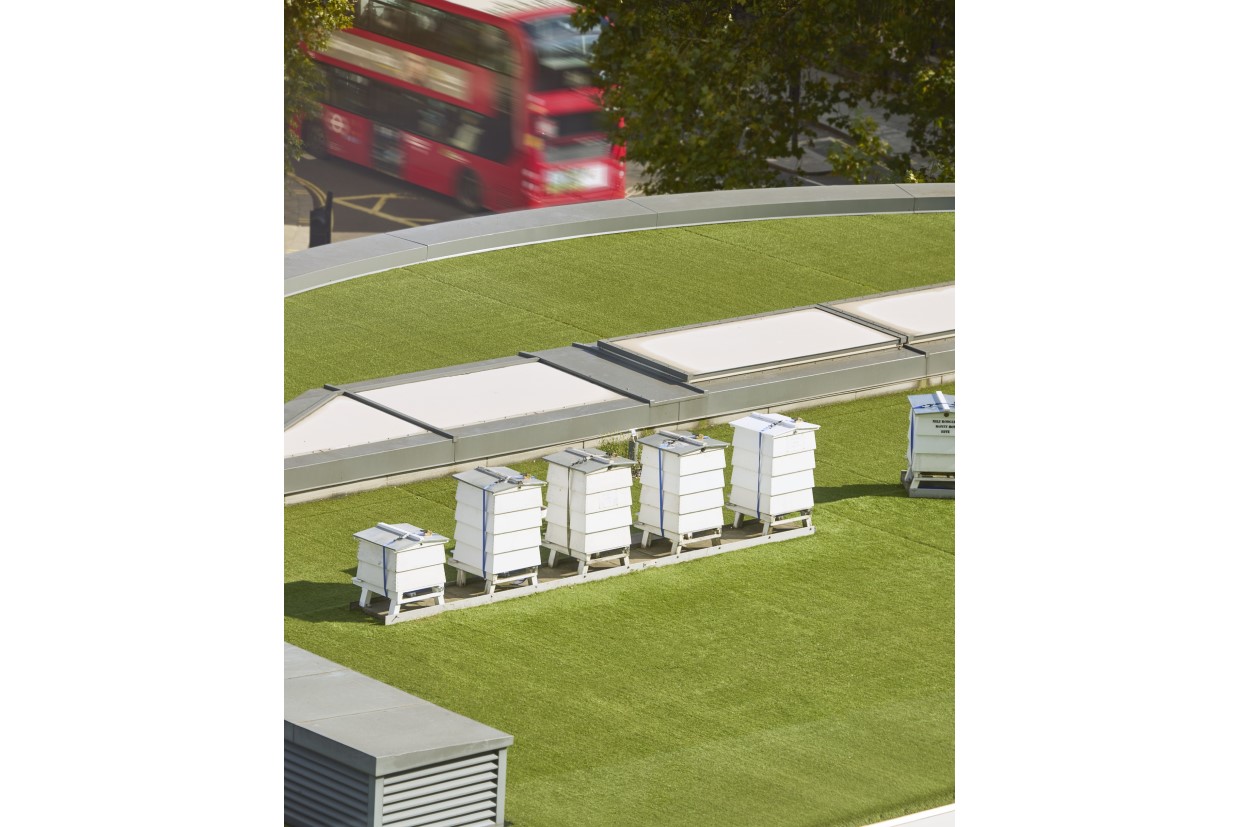 花盛りハイド・パークを遊び場に、ロイヤル・ランカスター・ロンドン