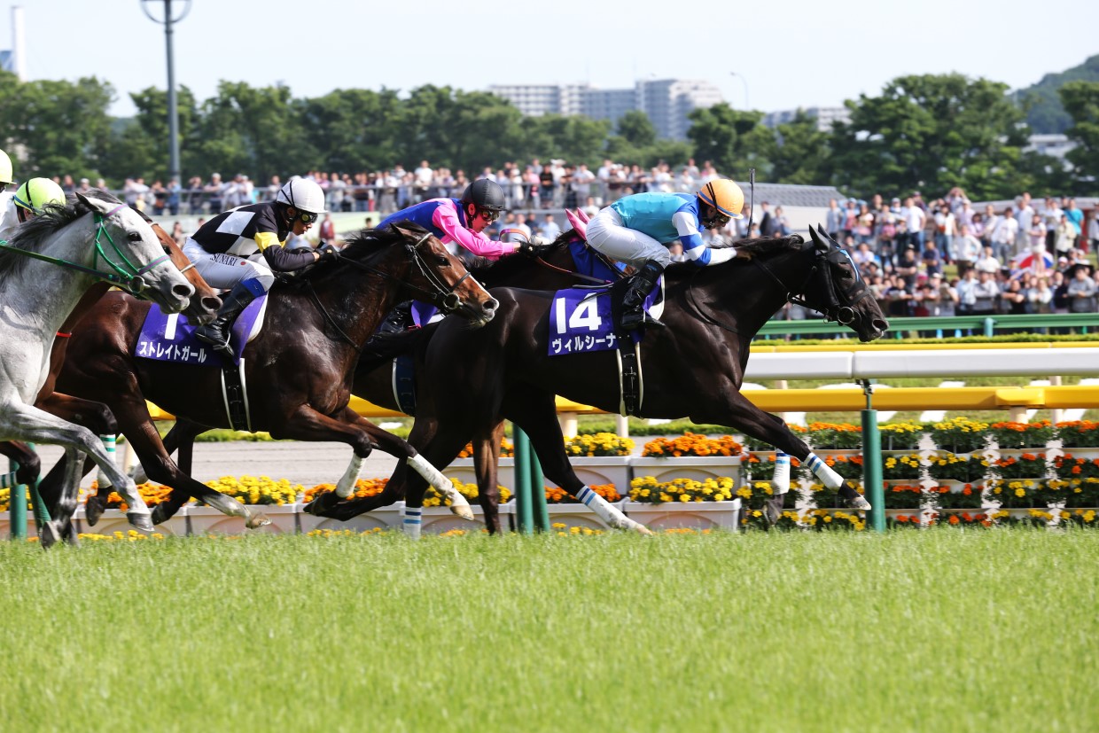 愛を持って愉しむ、JRA