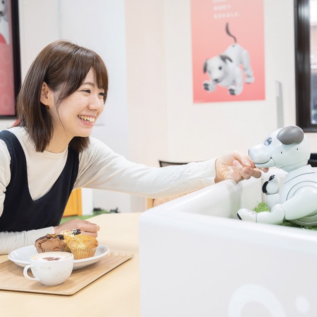 魅力あふれるaiboのふるさと