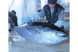 唯一無二 アジフライの聖地、長崎県松浦市