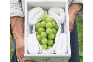 自然と文化が調和した創造都市、山形県山形市