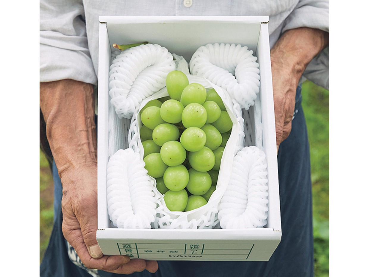 自然と文化が調和した創造都市、山形県山形市