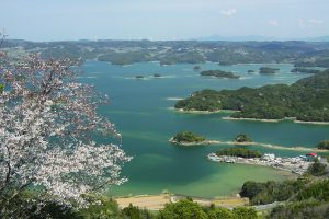 日本一を誇るアジフライの聖地
