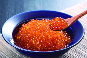 東の果てのサーモン郷