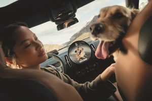 自由に遊ぶ上質な時間